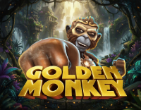 Exploring the Thrills of Stake Casino: A Comprehensive Guide to Online Gambling